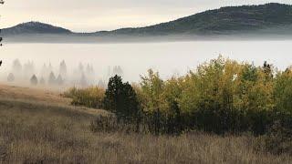 USFWS aims to preserve 100,000 acres of forest land west of Kalispell