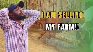 SEMANHYIA FARM CLOSES DOWN PERMANENTLY AFTER BEING ROBBED! Farming In Africa