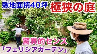 【狭い庭必見】狭い庭で極上のお庭はできます！　　　　　【カーメン君】【園芸】【ガーデニング】【個人庭】【フェリシアさん】