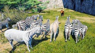 MASSIVE ZEBRA HERD | Animalia Survival