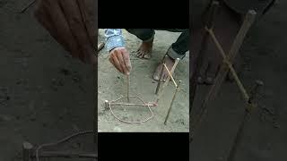 Bird Trap | Parrot Trap | Pigeon Trap | Trap For Bird #birds #trap #shorts