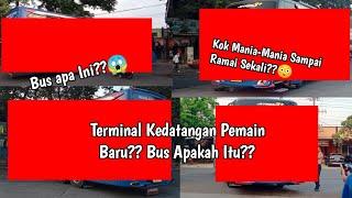 Vidio Singkat!! Terminal Pati Kedatangan Pemain baru?? Kira-Kira Bus Apa ya?? || Mania auto rame