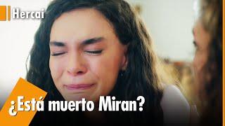 Reyyan pensó que Miran estaba muerto | Hercai @hercaiespanol