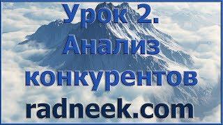 2. Сео анализ и аудит сайта, seo текста самостоятельно и легко Radneek