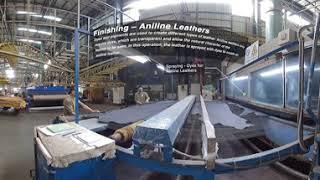 PrimeAsia China - Finishing (Aniline Leathers) (360° Video)