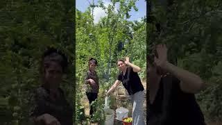 ИГРА ПРИРОДЫ