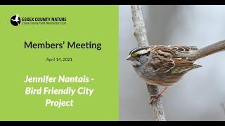 Bird Friendly City Project - Essex County Nature Meeting