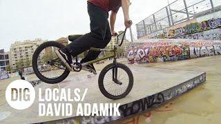 DIG LOCALS - DAVID ADAMIK