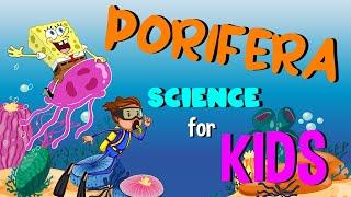 Porifera or Sponges | Science for Kids