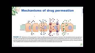 1.2 Pharmacokinetics #2.1 mechanism of drug permeation