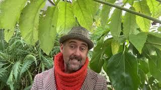 Hunting Brook Gardens Online Gardening Course - Autumn With Jimi Blake