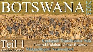 Botswana  2023, Teil 1, Kgalagadi Transfrontier Park (KTP), Centralkalahari (CKGR), Makgadikgadi NP