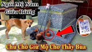 Nơi Ẩn Tu Bỏ Hoang ai dám ở cho luôn mảnh Đất bước vào là Bị Nhát Nổi Óc Cục