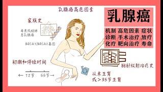 Breast Cancer Animation : the Early Signals ,  Risk Factors,  Treatment 手绘乳腺癌早期症状、高危因素、保乳手术、放化疗和靶向治疗