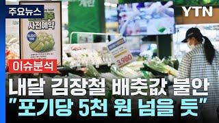 [스타트경제] 11월 김장철 배춧값 불안..."포기당 첫 5천 원 돌파" / YTN