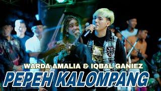 PEPEH KALOMPANG  |  WARDA AMALIA Feat IQBAL GANIEZ  |  MBOIS MUSIC LIVE KETAPANG SAMPANG