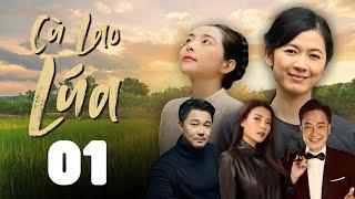 CU LAO LUA - EPISODE 01 | Drama, Romance, Comedy 2024