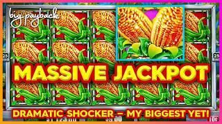 MASSIVE JACKPOT on Cash Crop Slots! MY BIGGEST YET on this game!