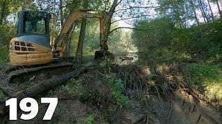 Beavers Dam In The Forest - Beaver Dam Removal With Excavator No.197