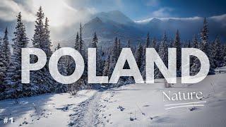  POLAND - Nature | Part 1/2 | 4K Aerial, Drone, Scenic Film with Relaxing, Calming Music