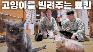 We Slept Overnight in The Ryokan in Japan That Gives Us Cats for A Day!