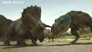 Tyrannosaurus vs Triceratops - DINOSAURS