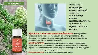 Кедровое эфирное масло- ожоги, СДВГ, гнев, щитовидная железа