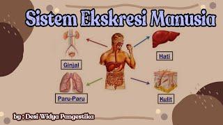 Sistem Ekskresi Manusia | Biologi Kelas 11