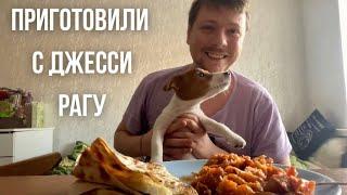 Приготовили с Джесси РАГУ. Вкусно покушали. Собираемся гулять. Джек-Рассел 4 месяца