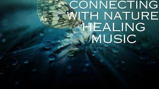 CONNECTING WITH NATURE| HEALING MUSIC FOR MIND, BODY, SOUL, REFRESHING MIND, STRESS RELIEF AND SLEEP