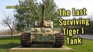 Last Surviving Tiger Tank: Abandoned German WW2 Tank of Normandy #WW2History#TigerTank