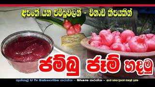 Rose Apple Jam (ජම්බු ජෑම් හදමු) Thunkal U Tv