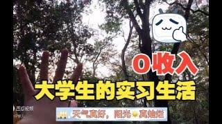 教育实习vlog｜打卡广州华南植物园