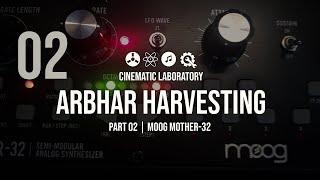 Arbhar Harvesting | Part 02 | Moog Mother-32 | Arbhar Scan Mode