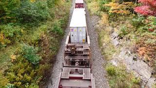 Train Under the Bridge at Laurie Park, Nova Scotia, Canada