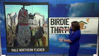 Birdie Thirty: Eyewitness News at 5:30am on 11-23-2024