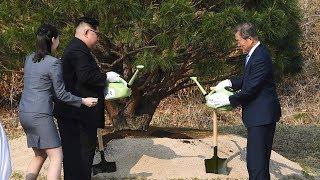 Kim and Moon plant peace tree at inter-Korea summit