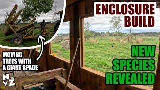 Building a Red Squirrel Enclosure | Tree Spade