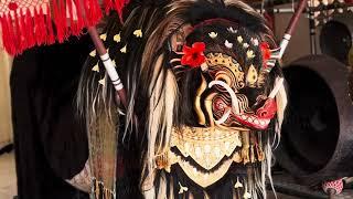 BARONG BANGKUNG GALAK MEPETUK stay tun terus semeton #barongbangkunggalak #barongbangkung