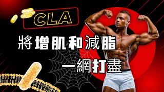 Achieve Weight Loss and Muscle Gain with One Shot: The CLA Effect!