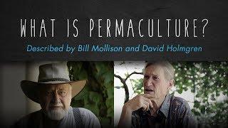 What is Permaculture? By Bill Mollison, David Holmgren