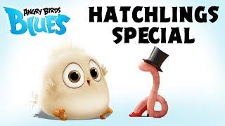Angry Birds Special | The Early Hatchling Gets The Worm
