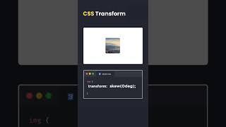 CSS Transform Property | CSS Transform Property Explained With Animation