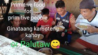 Vlog #5 pagluluto ng primitive food(ginataang kamote or palutaw)(Buhay IslaTv Official)