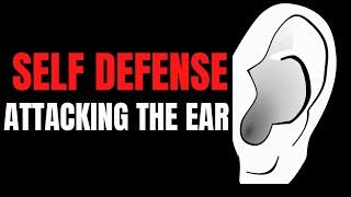 Attacking The Ear - Target Focus Training - Tim Larkin - Awareness - Self Protection - Self Defense