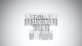 Understanding Tanding (Silat Sparring) - Part 8: Rules of the Match