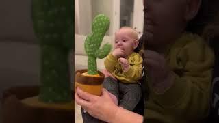 The cutest baby toy ever… talking cactus!! #babyplay #babytoys #baby #babies #babytoy #momlife