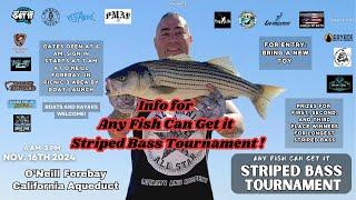 Any Fish Can Get It Striped Bass Tournament Rules 2024