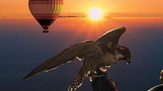 Hot Air Balloon Flight in Dubai, UAE