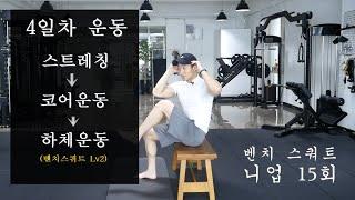 4일차 홈트 : 하체운동 벤치 스쿼트, 니업 (홈트레이닝)